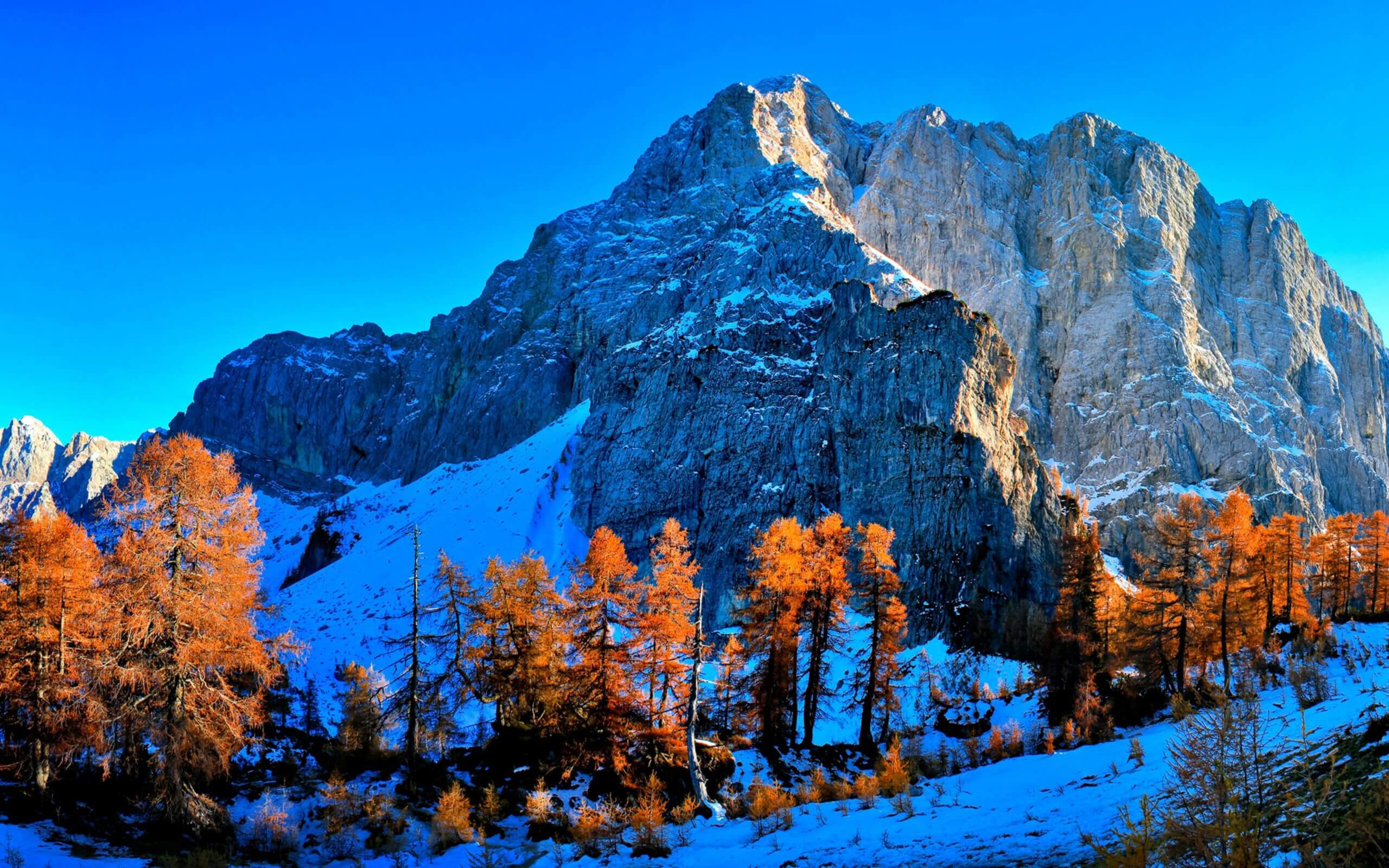 Mountains with snow and treeline