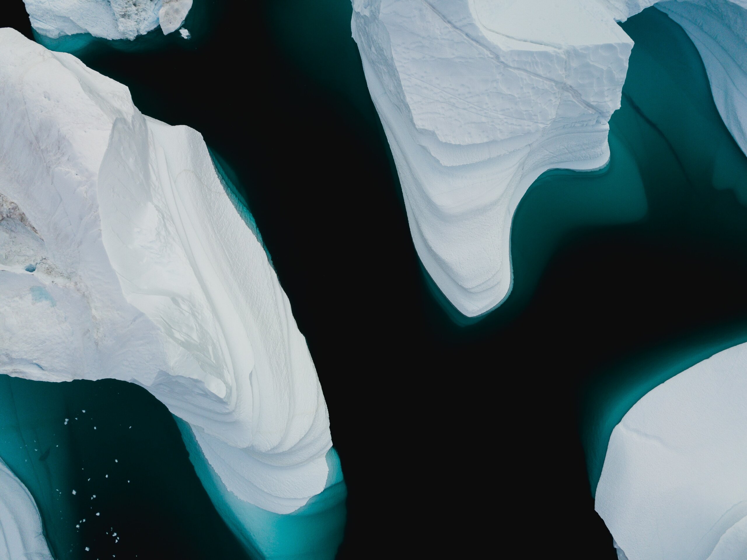 Overhead view of large white icebergs melting into deep aqua colored water