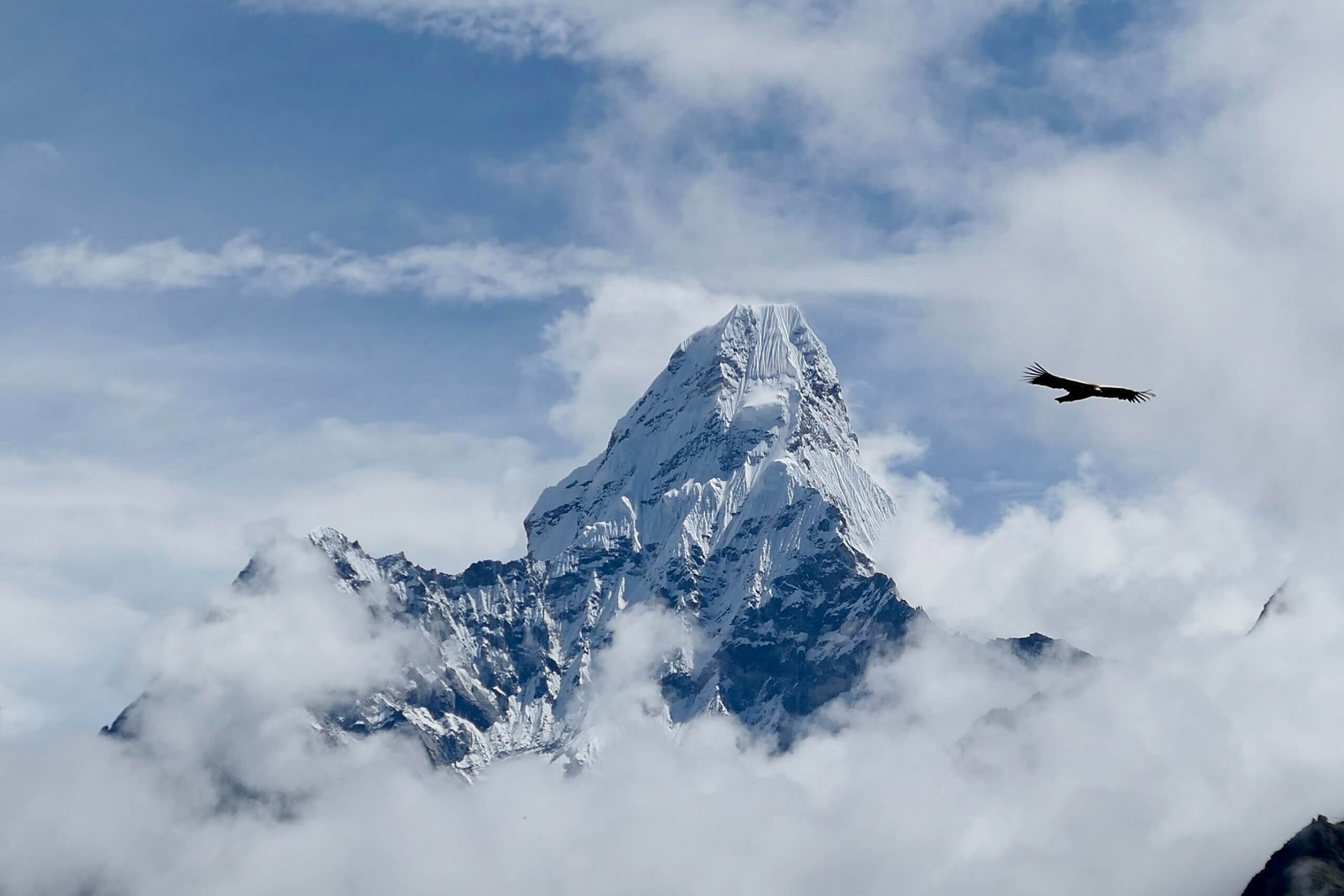 Snow covered mountain in the Himalayas with white clouds and a blue sky in the background. A silhouette of a bird soars through the white clouds.