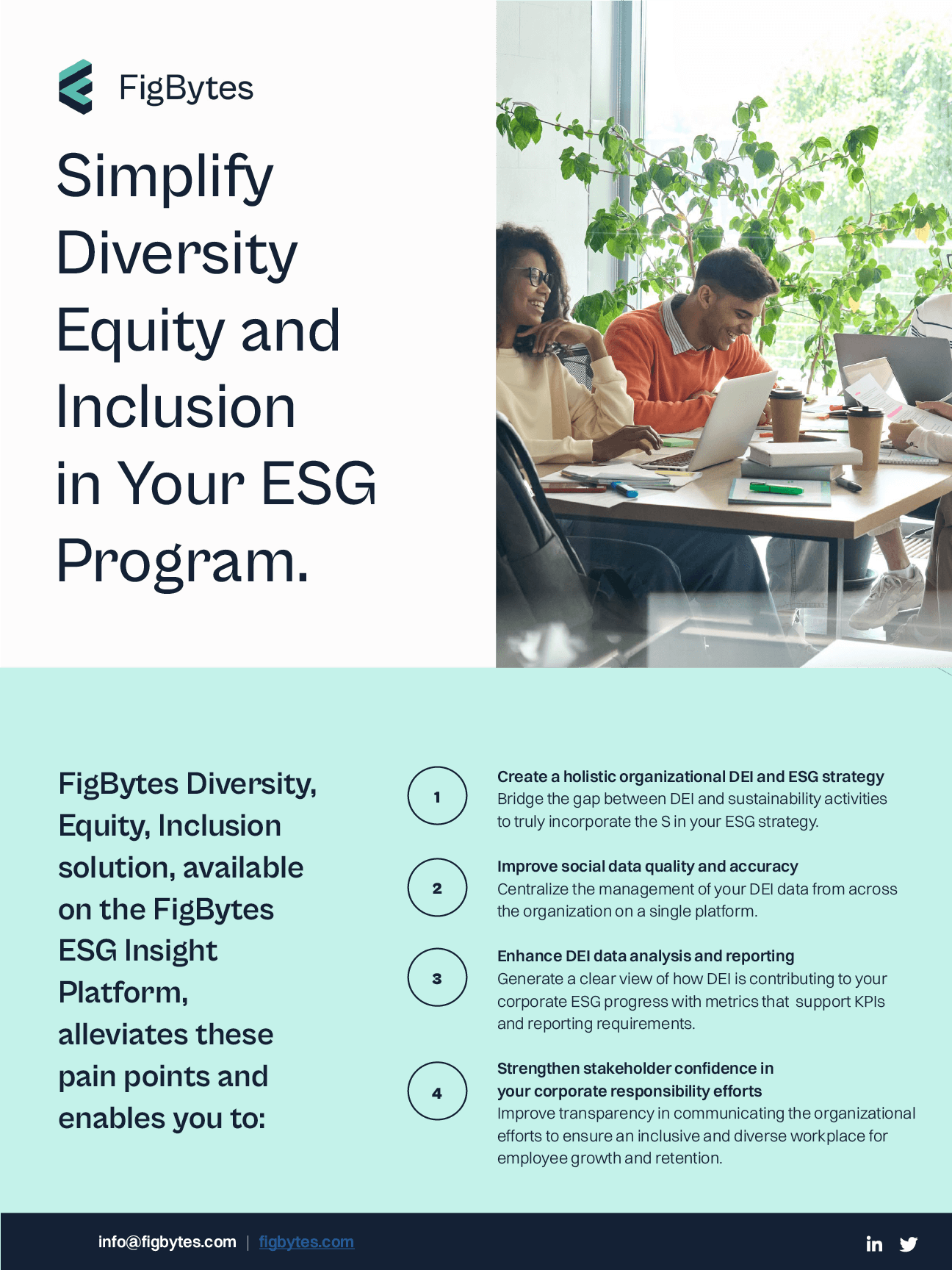FigBytes Diversity, Equity and Inclusion Solution