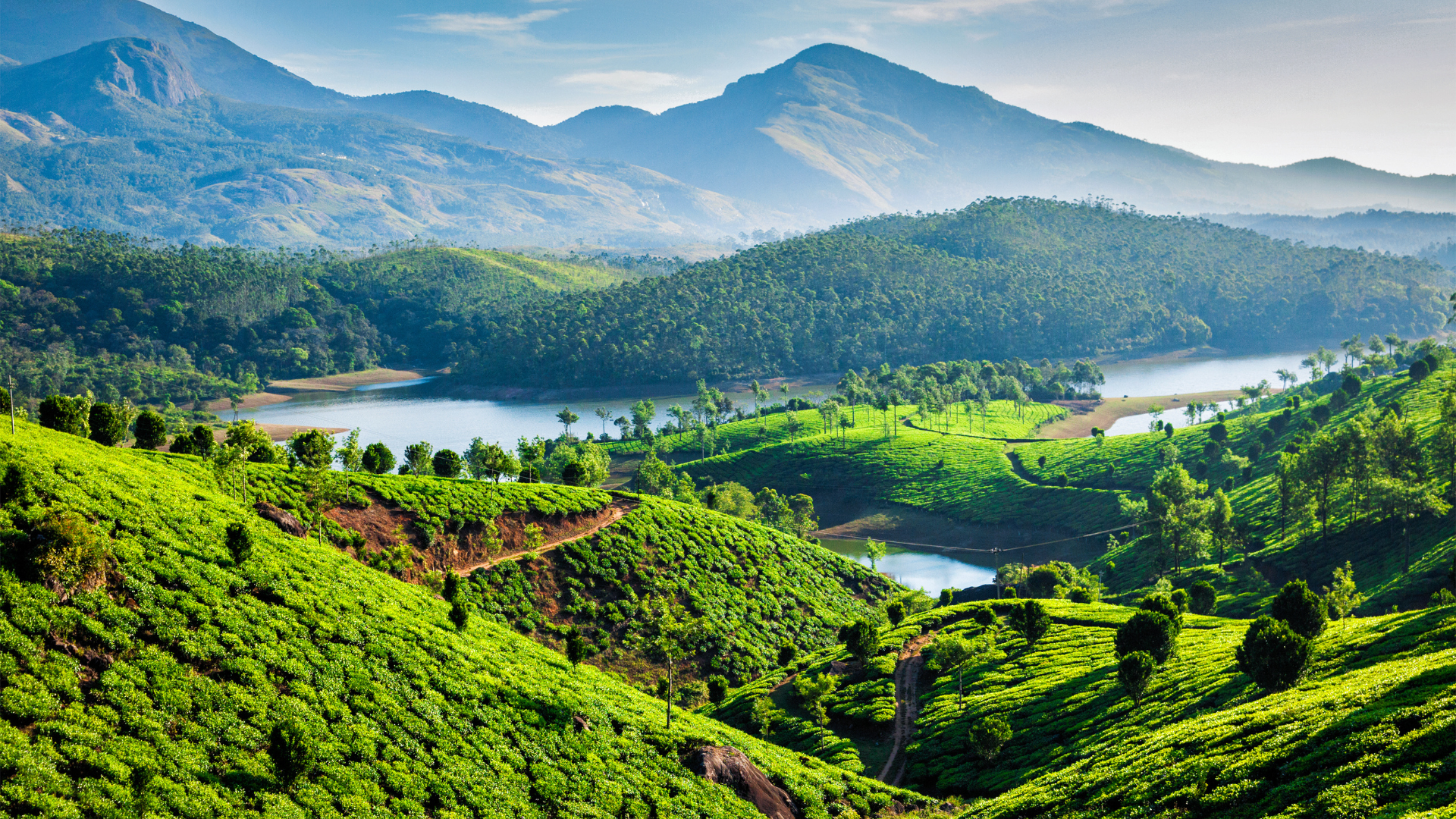 FigBytes Expands Into India