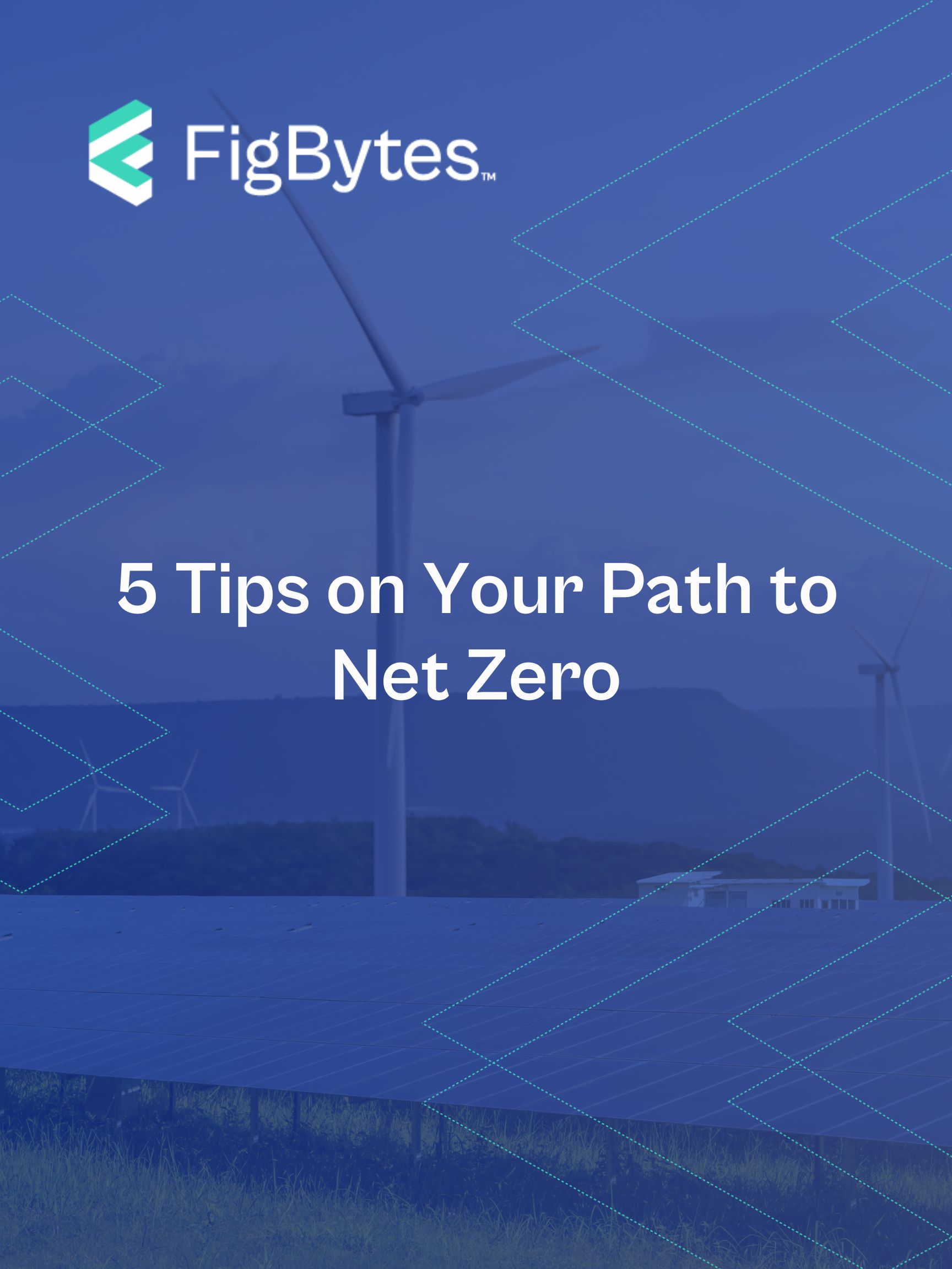 5 tips on your path to net zero feature image