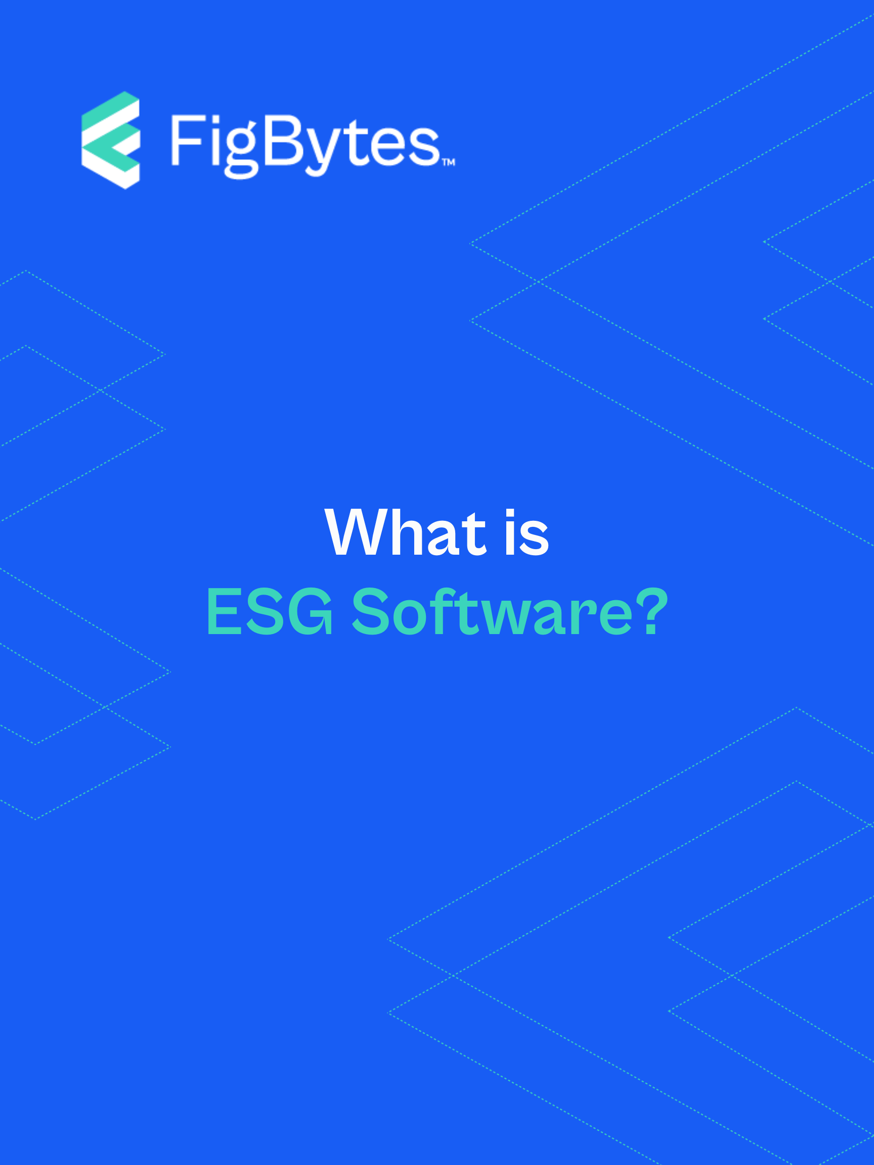 Text reads what is ESG software?