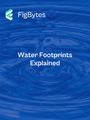 Water Footprints Explained