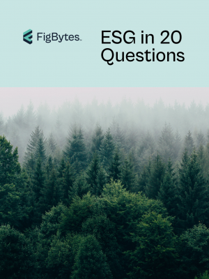 ESG IN 20 QUESTIONS COVER ESG IN 20 QUESTIONS