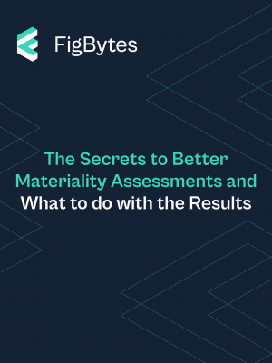 The Secrets to Better Materiality Assessments and What to do with the Results